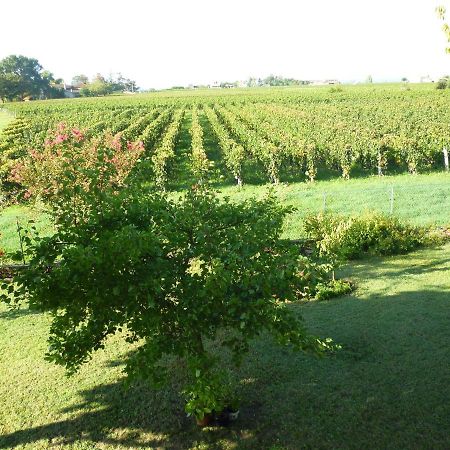 Le Clos Des Rosiers Saint-Émilion Esterno foto
